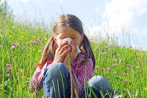 You are currently viewing Homeopathy Treatment of Allergies Online-Homeopathy Medicine for Allergies